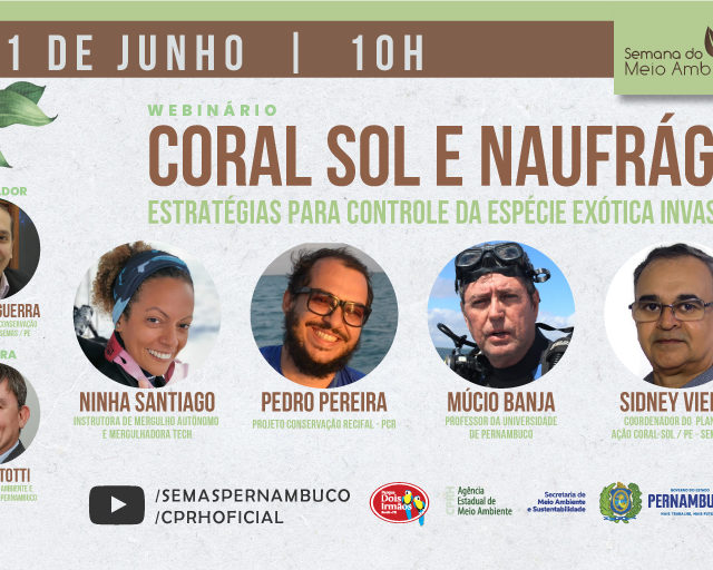 Semas lança plano ação de combate ao coral-sol
