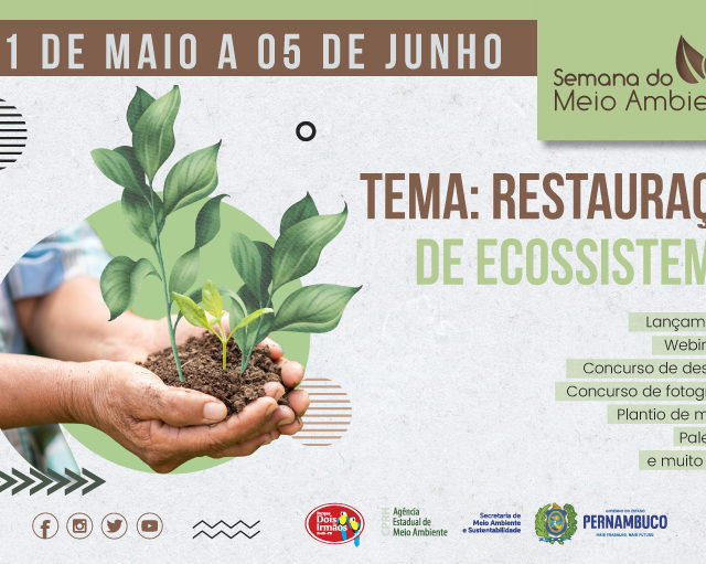 Semana de Meio Ambiente terá ações e debates em prol da restauração de ecossistemas