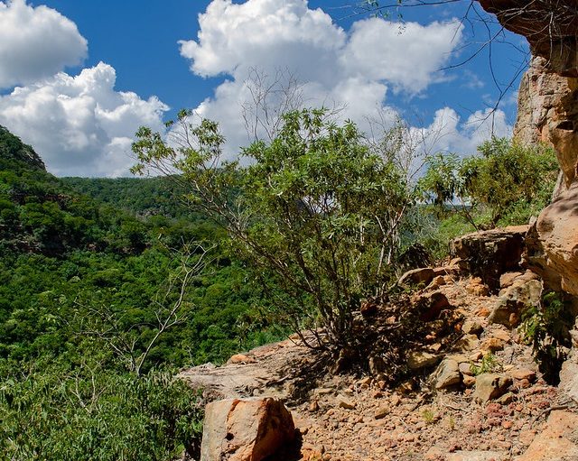Governo de Pernambuco fará estudos ambientais na Serra do Giz