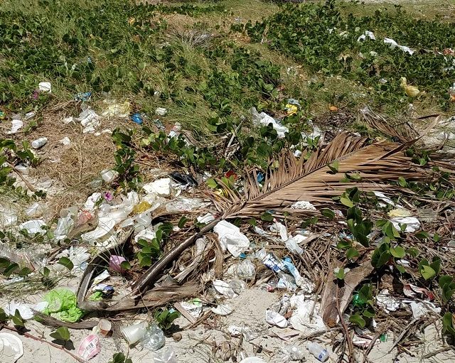 Semas realiza ciclo de webinários sobre combate ao lixo no Mar