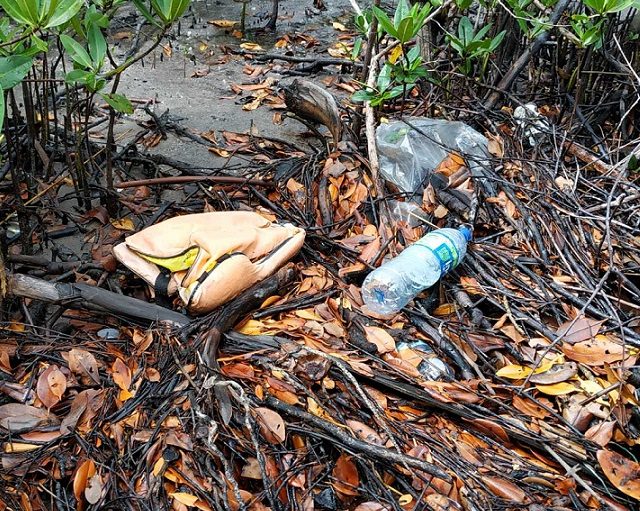 Semas reúne contribuições da iniciativa privada para Plano de Combate ao Lixo no Mar